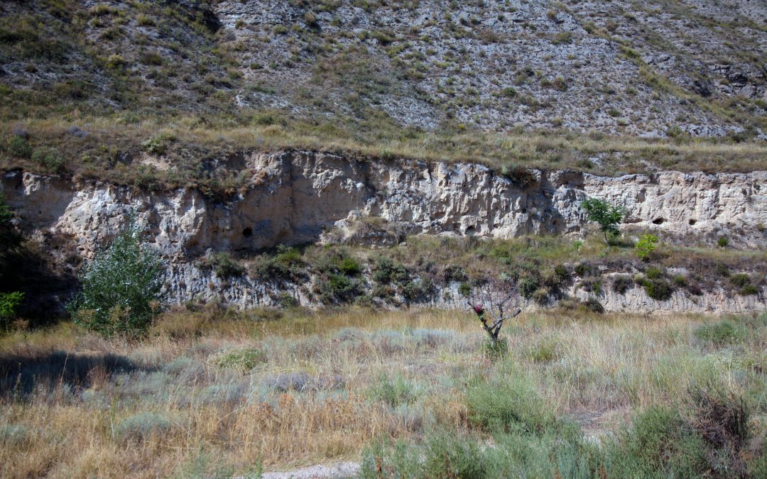 Barranco de la Bartolina (Calatayud)